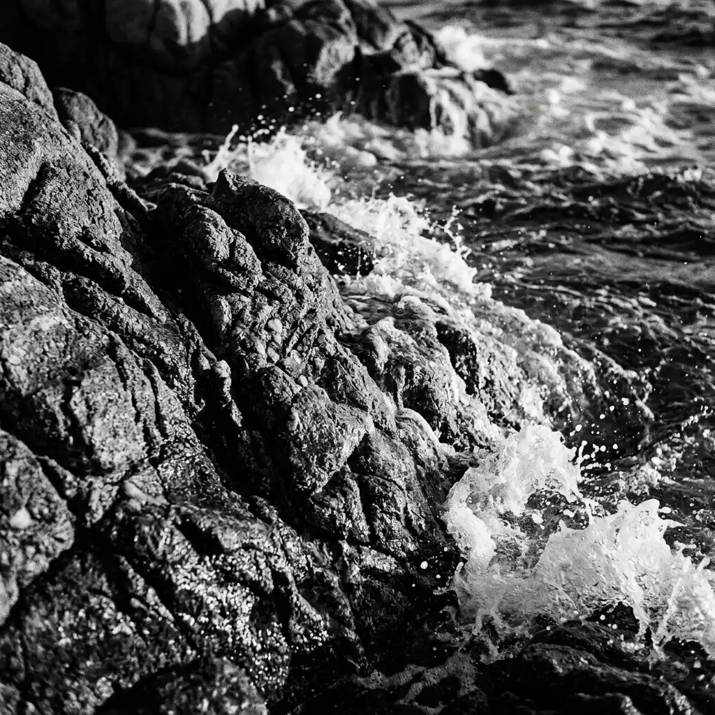 Integrazioni Software API